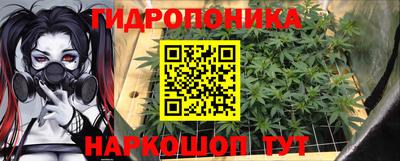 дурь Кандалакша