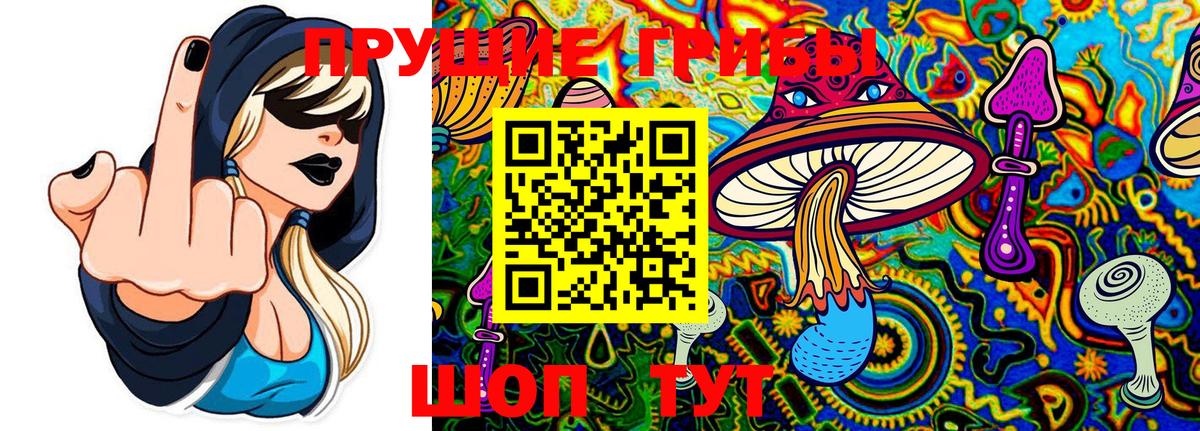 Галлюциногенные грибы Cubensis  Псилоцибиновые грибы Psilocybine cubensis  Вход с VPN  Геленджик 